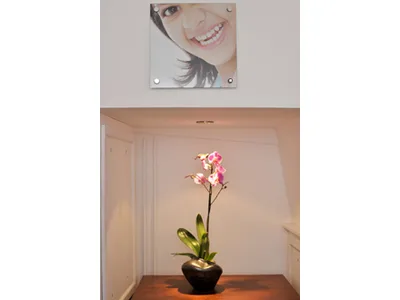 Lit alcove holding a single pink orchid beneath smile artwork